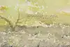 Thumbnail image 10