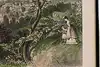 Thumbnail image 15
