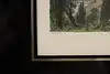 Thumbnail image 16