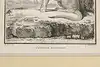 Thumbnail image 10