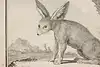 Thumbnail image 13