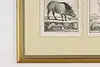 Thumbnail image 5