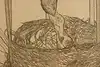 Thumbnail image 6