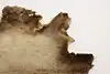 Thumbnail image 4