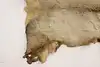 Thumbnail image 6