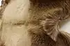 Thumbnail image 7