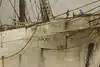 Thumbnail image 18