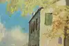 Thumbnail image 9