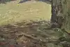 Thumbnail image 10