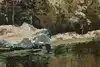 Thumbnail image 7