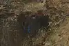 Thumbnail image 10
