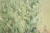 Thumbnail image 9