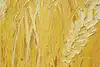 Thumbnail image 10