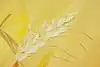 Thumbnail image 8