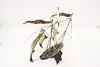 Thumbnail image 16