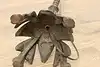 Thumbnail image 22