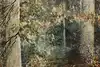 Thumbnail image 6