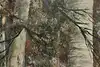 Thumbnail image 7