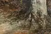 Thumbnail image 8