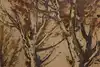 Thumbnail image 9