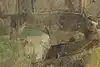 Thumbnail image 9