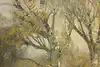 Thumbnail image 10