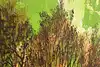 Thumbnail image 7