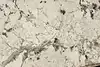 Thumbnail image 20
