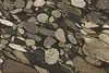 Thumbnail image 5