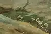Thumbnail image 9