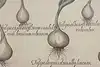 Thumbnail image 12