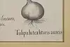 Thumbnail image 14