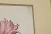 Thumbnail image 15