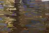 Thumbnail image 9