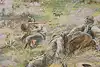 Thumbnail image 5