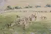 Thumbnail image 8