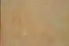 Thumbnail image 10