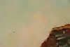 Thumbnail image 12