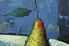 Thumbnail image 9