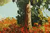 Thumbnail image 10