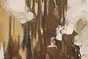 Thumbnail image 6