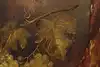 Thumbnail image 8