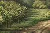 Thumbnail image 9