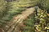 Thumbnail image 11