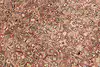 Thumbnail image 17
