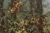 Thumbnail image 14