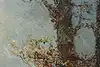 Thumbnail image 15