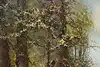 Thumbnail image 8