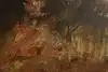 Thumbnail image 10