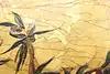 Thumbnail image 14